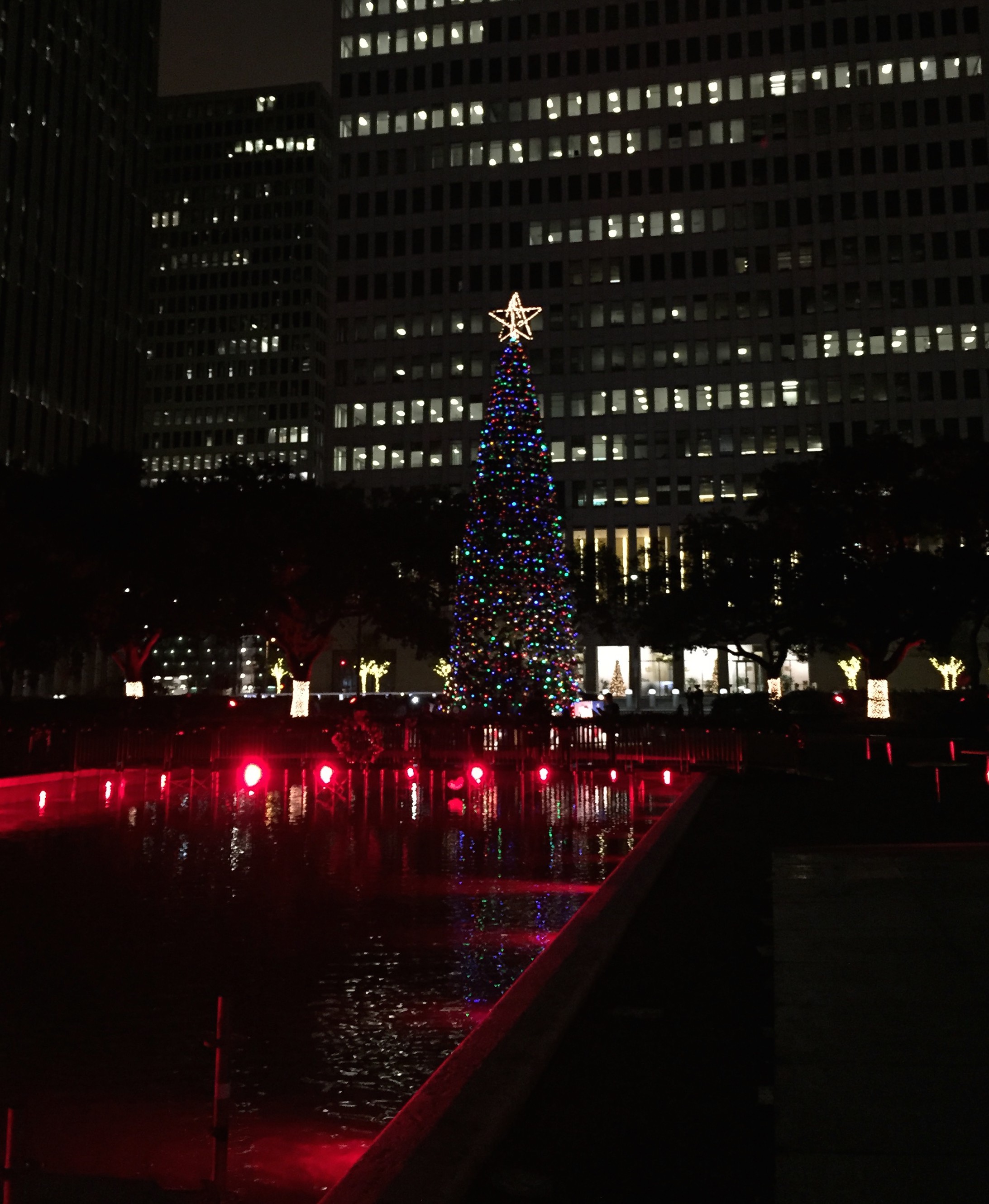 New year and new tree downtown